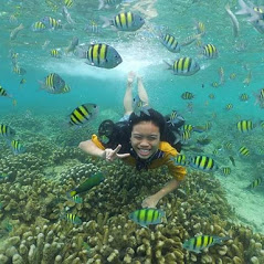 Wisata Bawah Laut